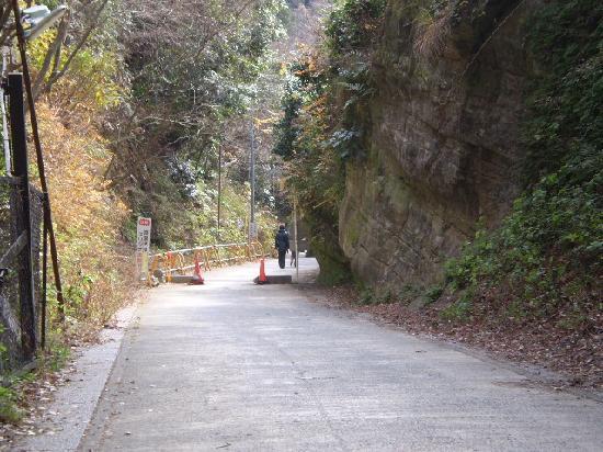 トリップアドバイザー提供