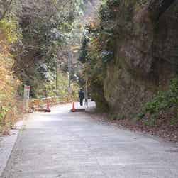 トリップアドバイザー提供