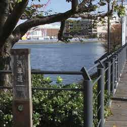 トリップアドバイザー提供