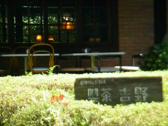 トリップアドバイザー提供