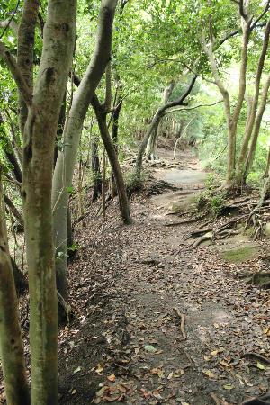 トリップアドバイザー提供