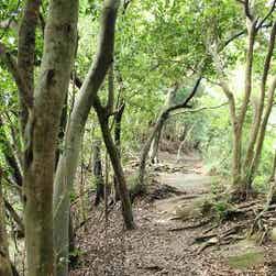 トリップアドバイザー提供