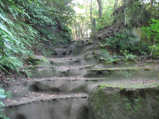 トリップアドバイザー提供