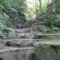 トリップアドバイザー提供