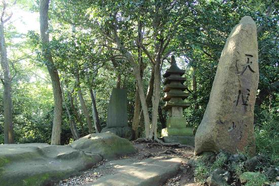 トリップアドバイザー提供