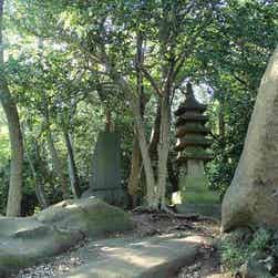 トリップアドバイザー提供