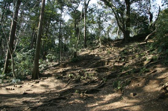 トリップアドバイザー提供