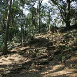 トリップアドバイザー提供