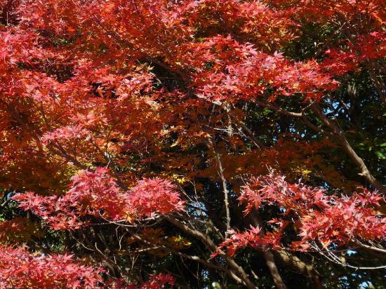 トリップアドバイザー提供