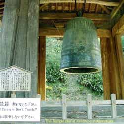 トリップアドバイザー提供