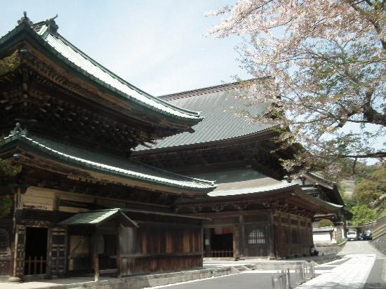 トリップアドバイザー提供