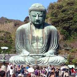 トリップアドバイザー提供