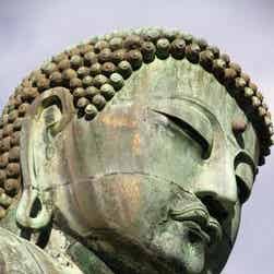 トリップアドバイザー提供