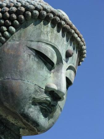 トリップアドバイザー提供