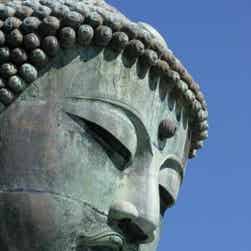 トリップアドバイザー提供