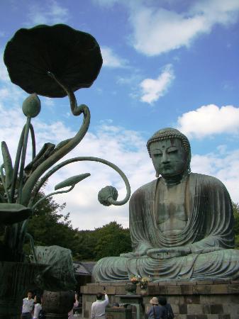 トリップアドバイザー提供