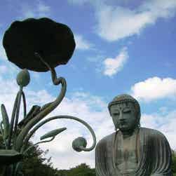 トリップアドバイザー提供