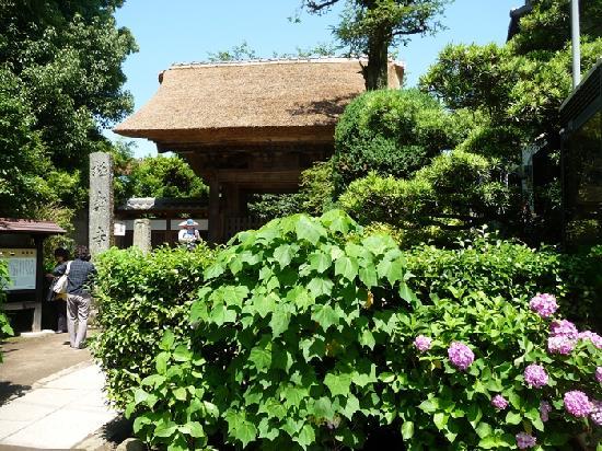 トリップアドバイザー提供