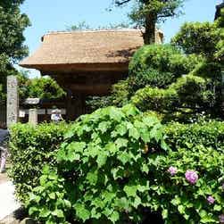 トリップアドバイザー提供