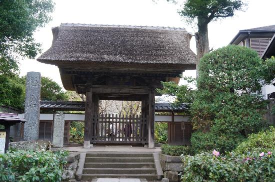 トリップアドバイザー提供