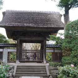 トリップアドバイザー提供