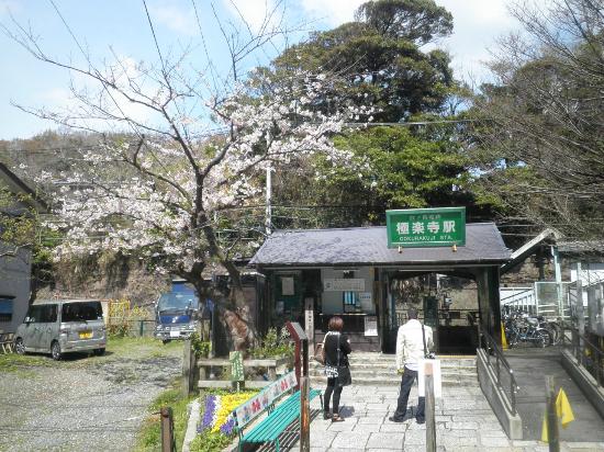 トリップアドバイザー提供