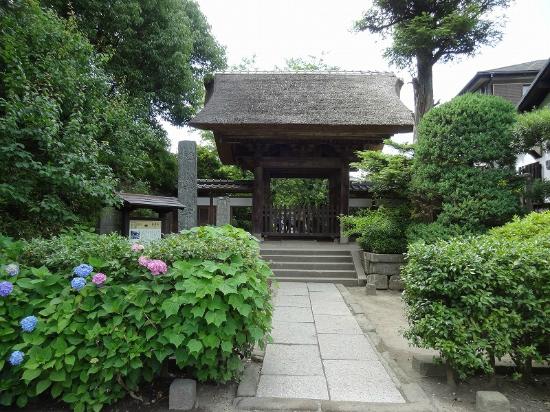 トリップアドバイザー提供