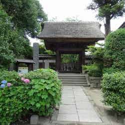 トリップアドバイザー提供