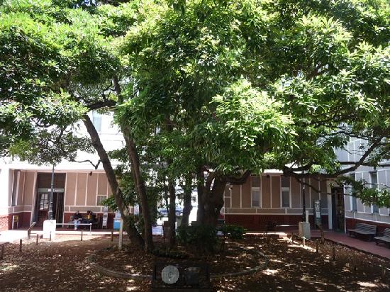 トリップアドバイザー提供