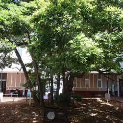 トリップアドバイザー提供