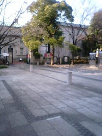 トリップアドバイザー提供