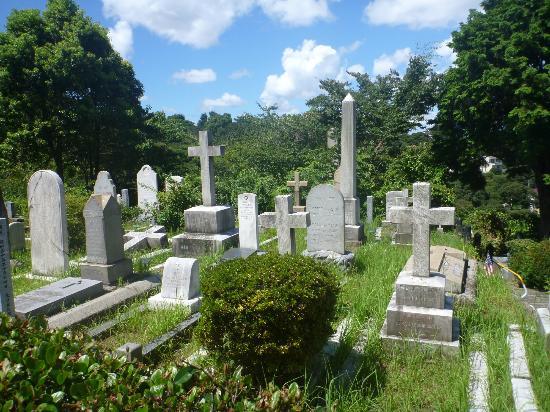 トリップアドバイザー提供