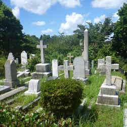 トリップアドバイザー提供