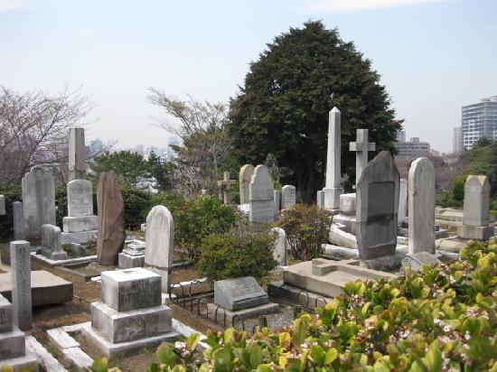 トリップアドバイザー提供