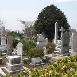 トリップアドバイザー提供