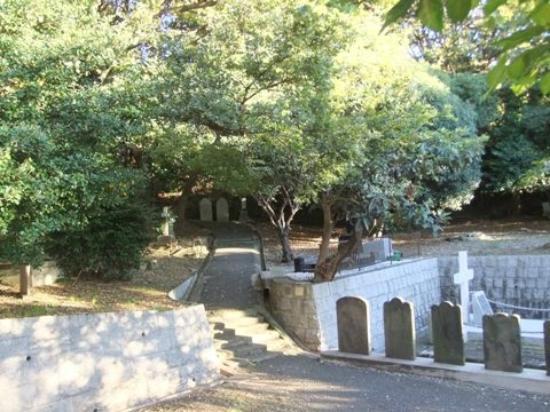 トリップアドバイザー提供