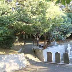 トリップアドバイザー提供