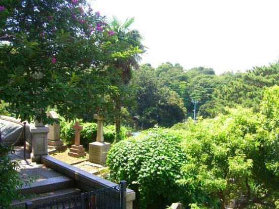 トリップアドバイザー提供