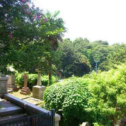 トリップアドバイザー提供