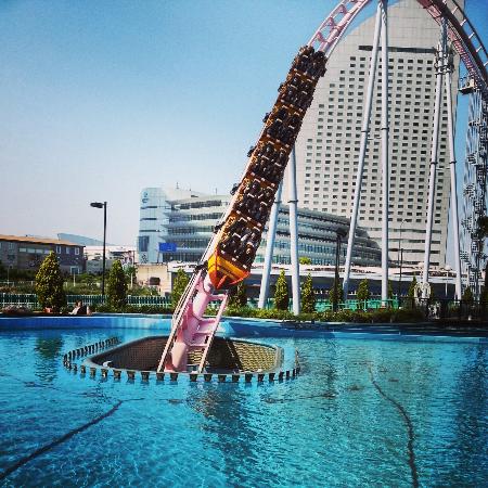 トリップアドバイザー提供