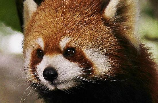 トリップアドバイザー提供