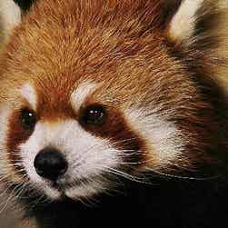 トリップアドバイザー提供