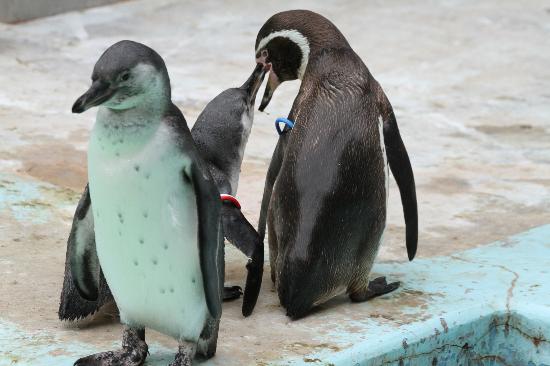トリップアドバイザー提供