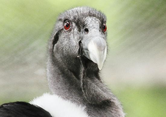 トリップアドバイザー提供