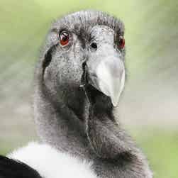 トリップアドバイザー提供