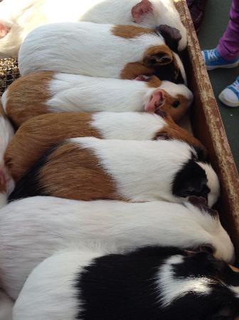 トリップアドバイザー提供