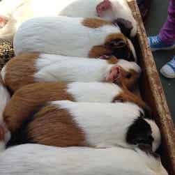 トリップアドバイザー提供