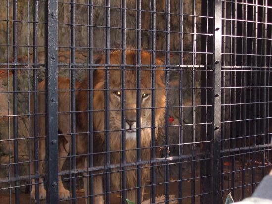 トリップアドバイザー提供