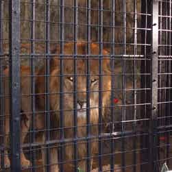 トリップアドバイザー提供