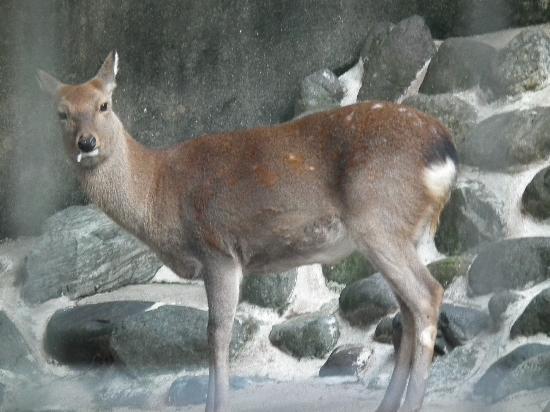 トリップアドバイザー提供